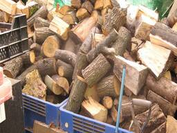 100% Pine Fire Wood Birch, Beech, Dry Birch Ash Oak Firewood Kiln Dried Firewood for WHOLE