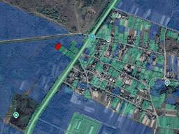 12 соток, садівництво, Наталівка