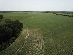 Агропідприємство, Київська область, Обухівський район, 659 Га