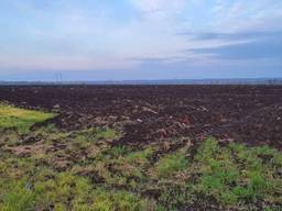 Агропідприємство, Рівненська область, 989 га