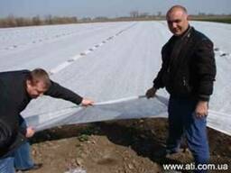 Агроволокно Агротекс 30