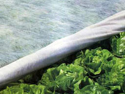 Агроволокно Агротекс 1,6х100, 17 плотность