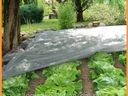 Агроткань белая 4,2х50м|плотность|30г/м²