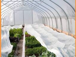 Агроволокно 23г/м²|9.5х50м|усиленный край