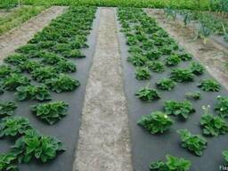 Агроволокно