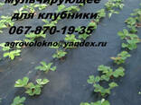 Агроволокно 50 черное (1.6*10м) Польша, Распродажа - фото 3