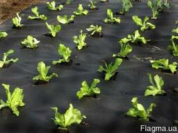 Агроволокно для мульчирования 50 г/м2