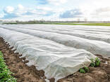Агроволокно белое плотность 60 г/м² 3,2x100 м — Garden Flora (71-676) - фото 1