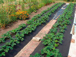 Агроволокно черное плотность 90 г/м² 1,05x50 м — Garden Flora (71-683)