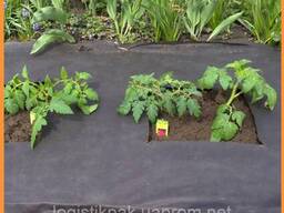 Агроволокно чёрное пакетированное|3.2х5м|60г/м²