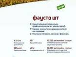 Акція !!! Насіння соняшнику Фаусто ШТ, Штрубе, під Експрес - фото 3