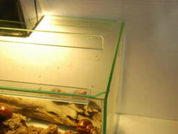 Акватеррариум. Аквариум. Стеклянный террариум 50*35*30.