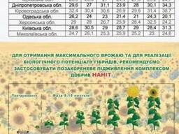 Богдан подсолнечник купить, Богдан цена