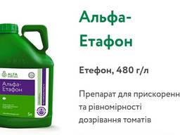 Альфа-етафон