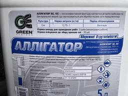 Аллігатор – високоефективний фунгіцид контактної дії проти хвороб СОЇ