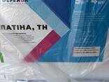 Латіна (ан. Пончо)- Системний інсектицид-протруйник з пролонгованою дією для захисту насін - фото 1