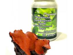 Антродія Червоний камфорный гриб екстракт 60 капсул