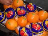 Апельсин - фото 7