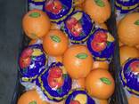 Апельсин - фото 10