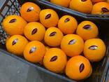 Апельсин - фото 1