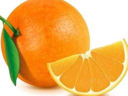 Апельсин навелина, лимон и мандарин