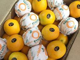 Апельсины Египет, оптом