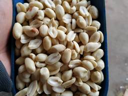 Арахис бланш. Арахіс бланширований