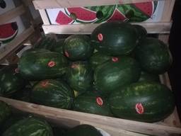 Арбузы Греция, Украина