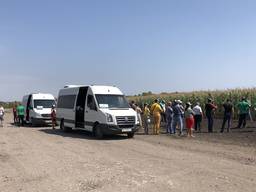 Аренда автобусов