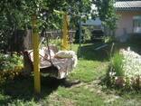 Аренда дома в Миргороде - фото 4