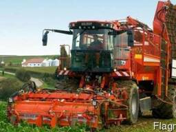 Аренда свеклоуборочного комбайна Holmer