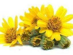 Arnica Flower CO2-to extract (organic)