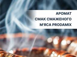 Аромат Смаженого мʼяса Prodamix Van Hees Франція