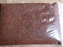 Артемия,циста артемии.