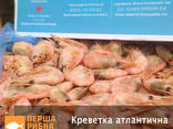 Атлантична креветка Ocean Choice (CAN) - фото 2