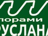 Автомат для заточування стрічкових пил - фото 2