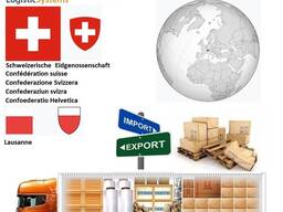 Автотранспортні вантажні перевезення з Лозанни в Лозанну разом з Logistic Systems