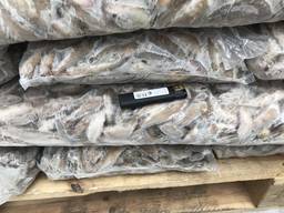 Азовские морепродукты, опт