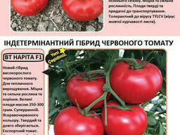 Babacan F1 БаБаджан F1 Новий гібрид червоного низькорослого томату 500 семян. BT Tohum