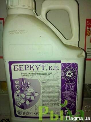 Беркут фунгицид (тебуконазол)
