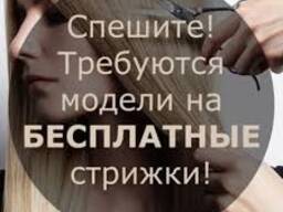 ​​​​ Бесплатные стрижки