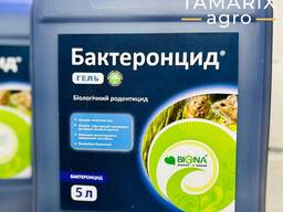 Біологічний засіб від мишей Бактеронцид гель - мишиний тиф