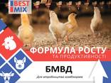 БМВД концентраты добавки премиксы ТМ "Бест Микс" для поросят, птицы - фото 1
