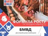 БМВД концентраты добавки премиксы ТМ "Бест Микс" для поросят, птицы - фото 2
