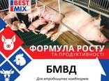 БМВД концентраты добавки премиксы ТМ "Бест Микс" для поросят, птицы - фото 3