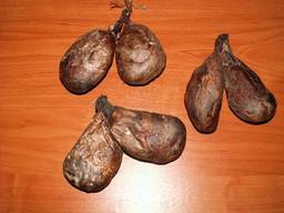 Бобровая струя високої якості