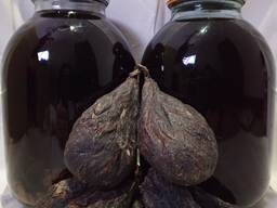 Струя бобра.