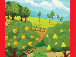 Большая книга с наклейками Книжковий хмарочос "Сад" (403631)