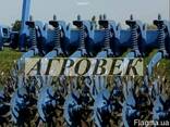 Борона ротационная БР Мотыга - фото 2