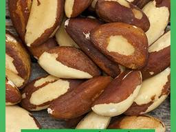 Бразильський горіх